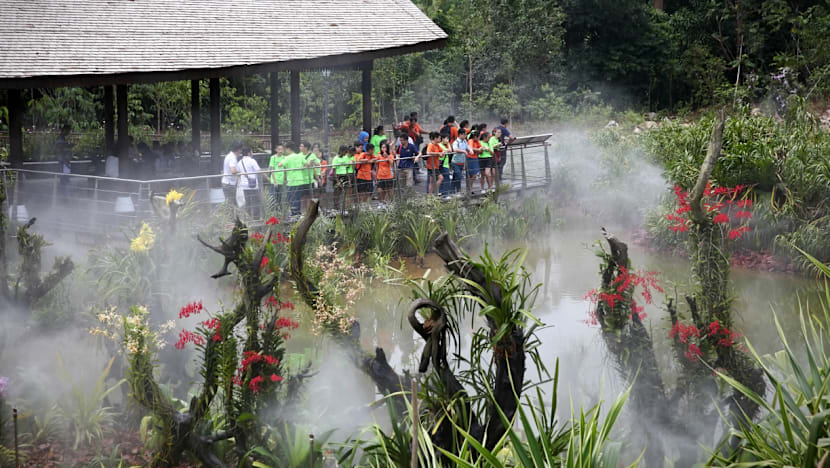 Century-old forest at Botanic Gardens opens