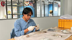 Related article image