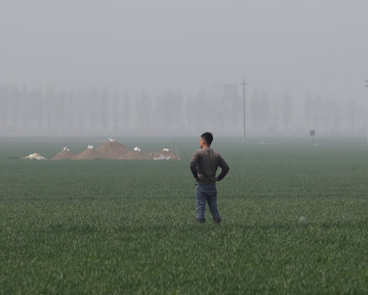 Xi’s grandiose urban ambitions hit the wall