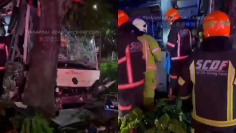 Pemandu SBSTransit meninggal dunia setelah bas rempuh pokok di luar depot Hougang Pemandu SBSTransit meninggal dunia setelah bas rempuh pokok di luar depot Hougang