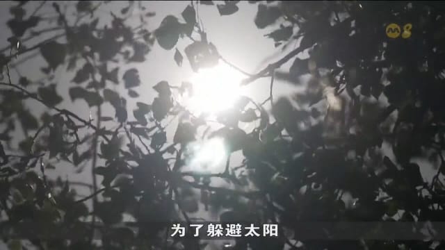 欧洲多国遭热浪侵袭 西班牙南部气温飙升至45摄氏度