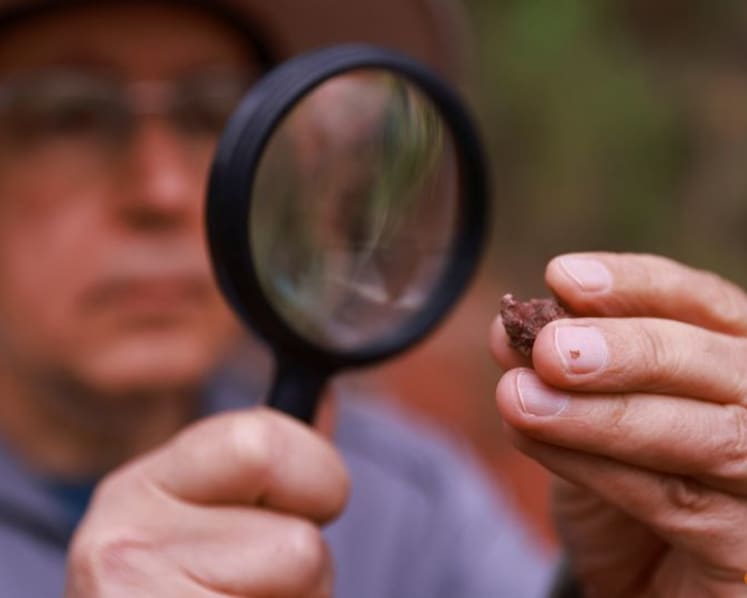 Brazilian physician hails love of paleontology that led to major ancient reptile discovery