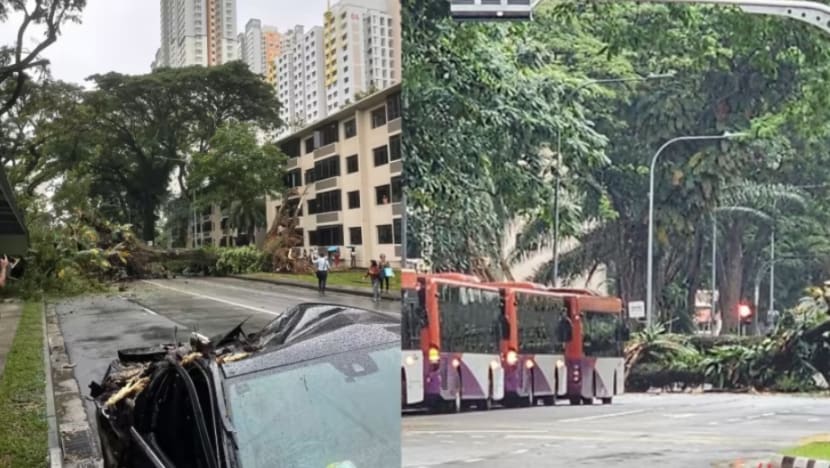 Pokok tumbang halang lalu lintas; kereta remuk, laluan pejalan kaki rosak