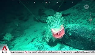 Monsoon Rise Expedition: Exclusive look into early findings from deep sea exploration