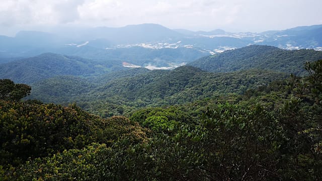 金马仑：重温高原好时光