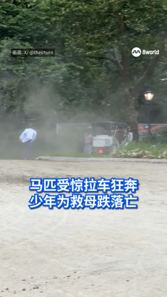20260618_18yo boy died after fell from horse carriage_vod1
