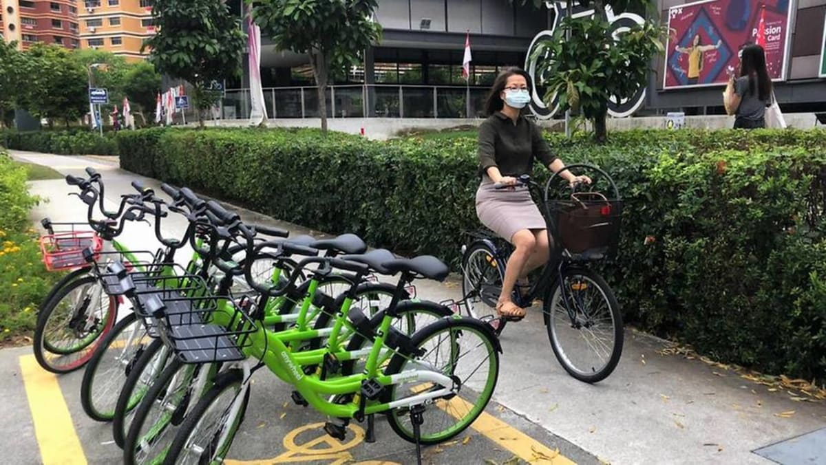 Singapore bike cheap