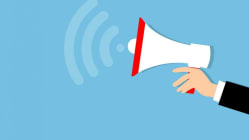 Related article image