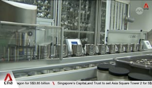 More energy-intensive firms in Singapore reducing power usage during peak periods