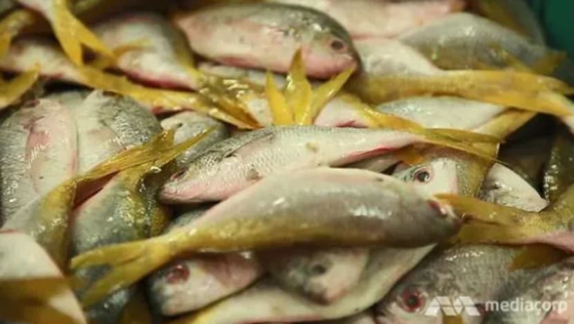 Bekalan ikan M'sia mulai pulih bulan ini Bekalan ikan M'sia mulai pulih bulan ini