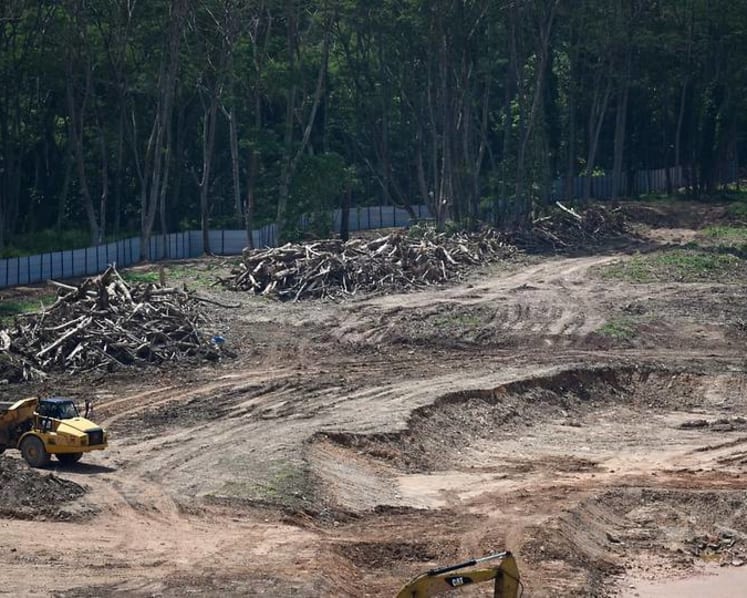 Kranji woodland clearance: 2 JTC officers among 3 people charged in court