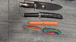 Related article image