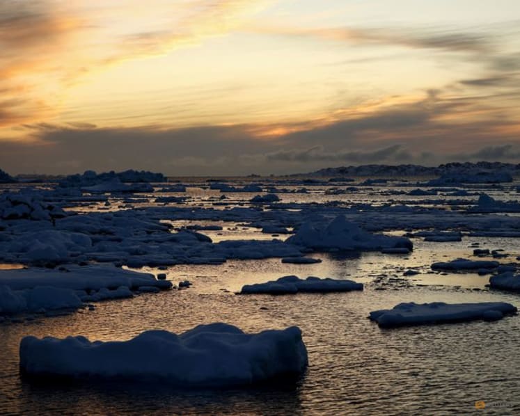 Satellite data shows major ice losses for Greenland and Antarctica