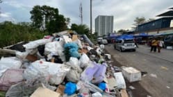 Related article image