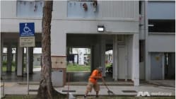 Related article image