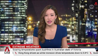 Soaring temperatures spark bushfires in Australian state of Victoria