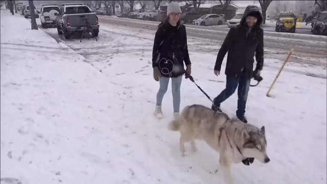 澳洲东部罕见强降雪引发洪灾 数万户家庭断电交通瘫痪