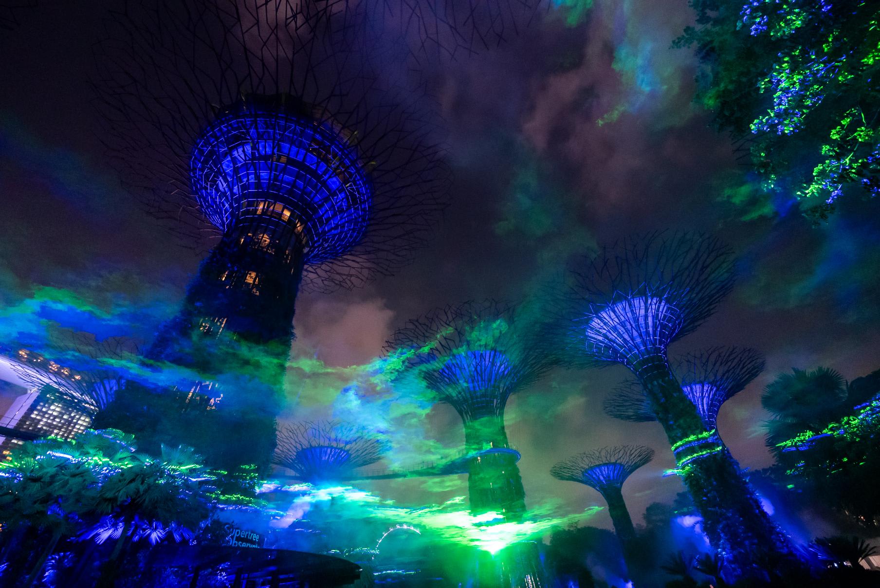 热带也有“极光”!滨海湾花园全新艺术装置 记好日子免费观赏 - vibes by 8world