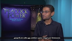 மயில்களின் முக்கியத்துவத்தை எடுத்துக்காட்டும் சிறப்புக் கண்காட்சி