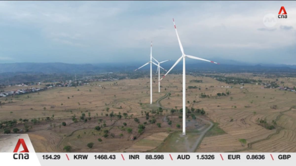 Indonesia to expand Tolo Wind Farm with aim of boosting renewable energy