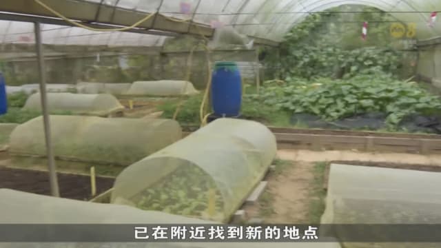 义顺罗弄真查鲁教育园区 获批准继续营业到年底