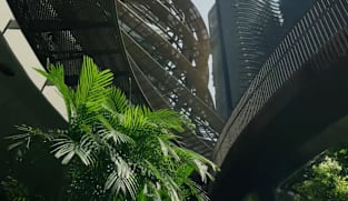 Designing Green Singapore