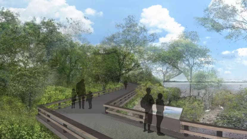 Related article image