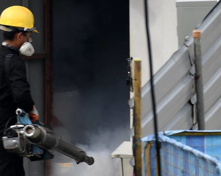 Dengue surge fuelled by more mosquitoes, re-emergence of previously uncommon virus serotype: Experts