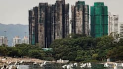 Related article image