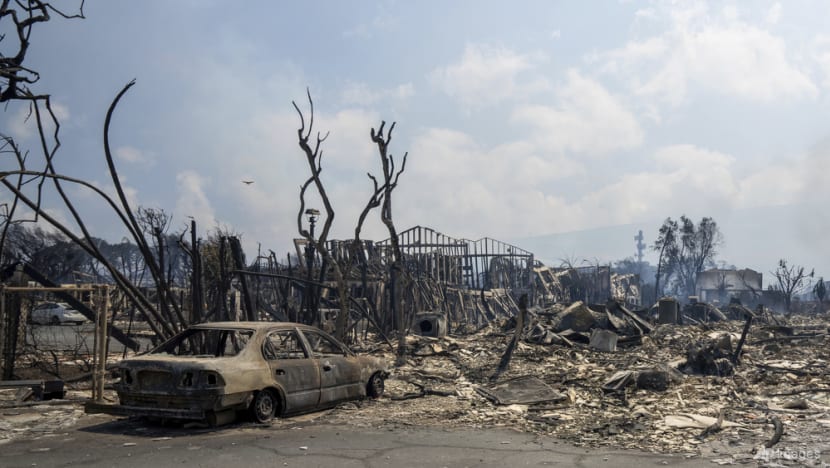 High temperatures, dry vegetation and strong winds: Deadly combination for rapid spread of Hawaii’s wildfire High temperatures, dry vegetation and strong winds: Deadly combination for rapid spread of Hawaii’s wildfire