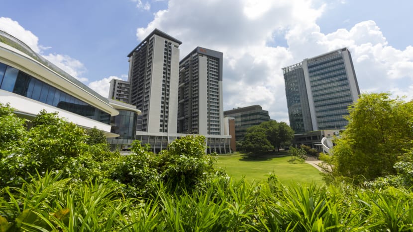 NUS, NTU and SMU reaffirm commitment to climate action, following report highlighting links between fossil fuel industry and universities 