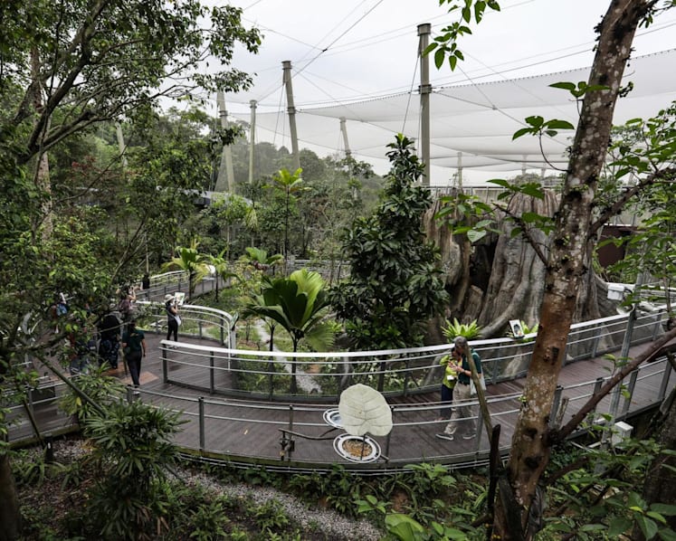 Singapore visitor arrivals up 115% to 13.6 million in 2023