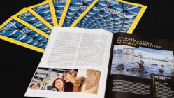 Related article image