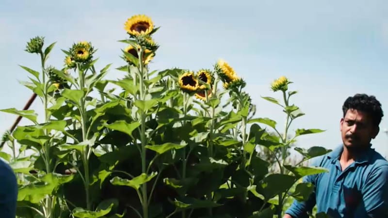 Inside One of the World’s Cleanest Cities