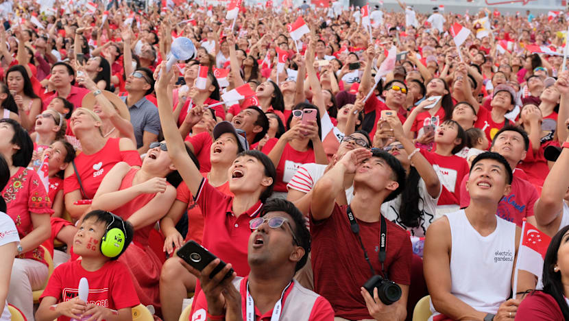 Free-falling naval divers, wingsuit-wearing Red Lions wow crowds at NDP