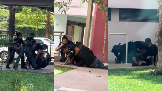 男子涉毒品罪拒捕袭警 被警民合力制伏