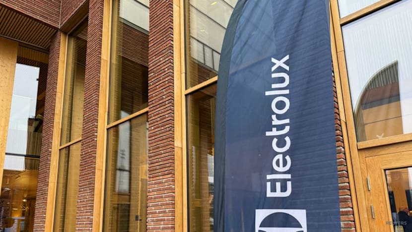 Electrolux plans about $1 billion share issue, tie-up with Midea in North America to shake up ops