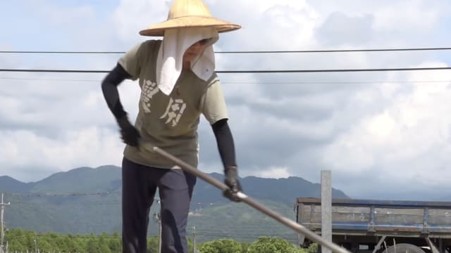 理解问答：新加坡女生放弃高薪当稻农