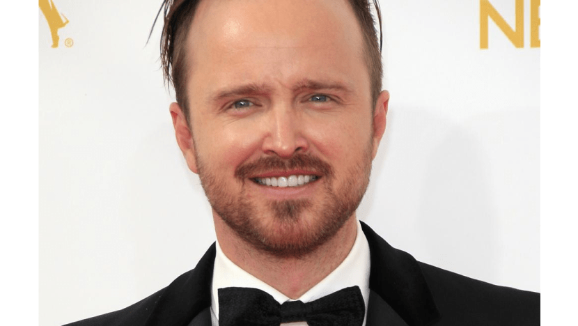 Aaron Paul wants more kids
