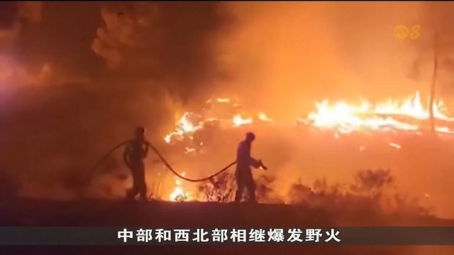 欧洲热浪引发多国野火