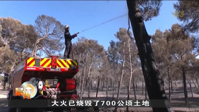 法国遭林火侵袭 欧洲遇干旱天气