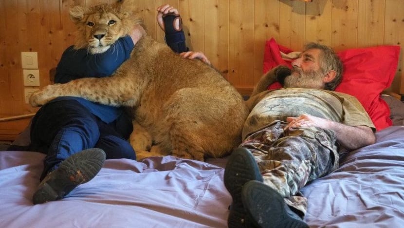 Gambar Pilihan Hari Ini