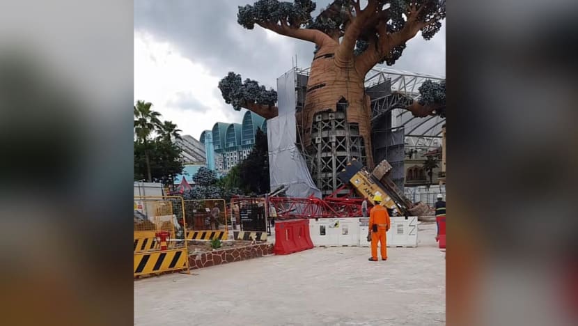 Engineering firm ordered to stop lifting, demolition work after crane topples at Universal Studios Singapore Engineering firm ordered to stop lifting, demolition work after crane topples at Universal Studios Singapore