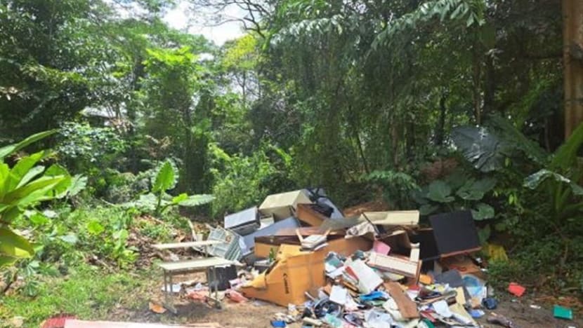 Moving company supervisor fined for illegally disposing furniture at secluded spot Moving company supervisor fined for illegally disposing furniture at secluded spot