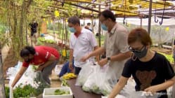 Related article image