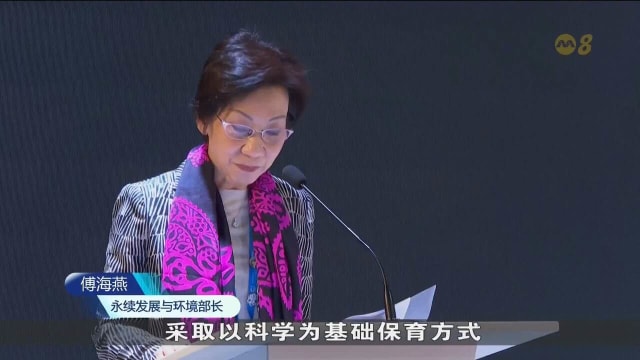 傅海燕：以科技保育东南亚雨林 减少生态干扰