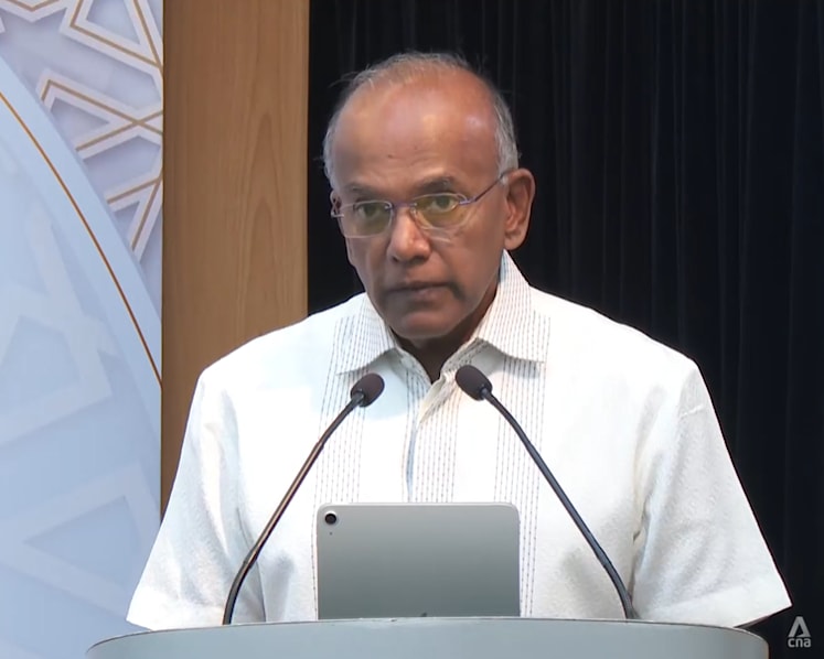 Singapore will take action against citizens who fight overseas in foreign causes: Shanmugam