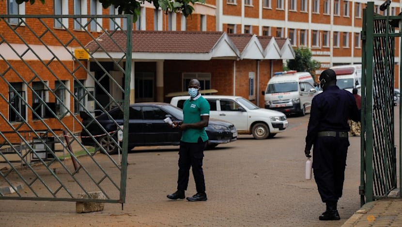 What do we know about the Bundibugyo strain of the Ebola virus?