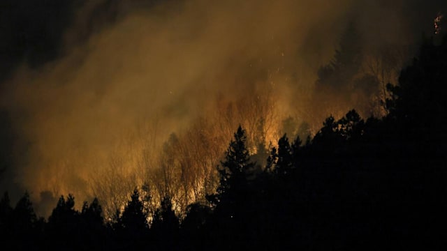 日本山梨县森林大火迅速蔓延 约150名居民被令疏散