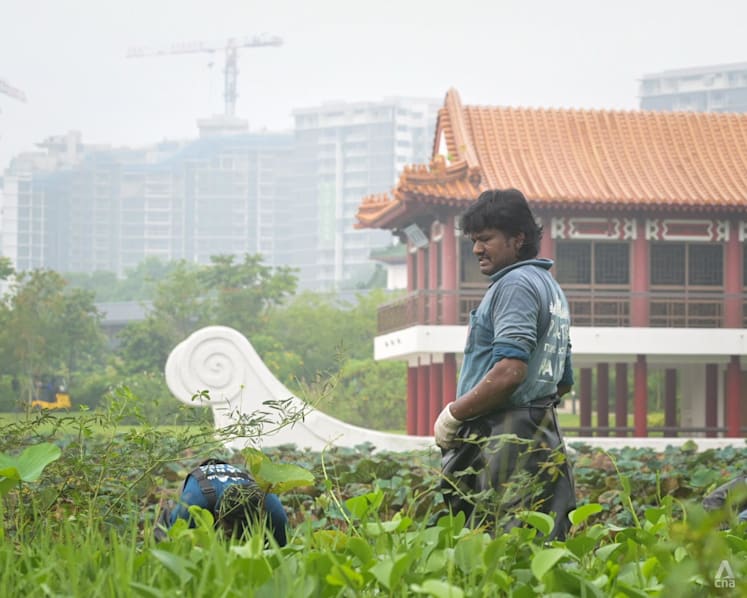 MOM issues new guidelines for employers to adjust outdoor work based on hourly PM2.5 readings